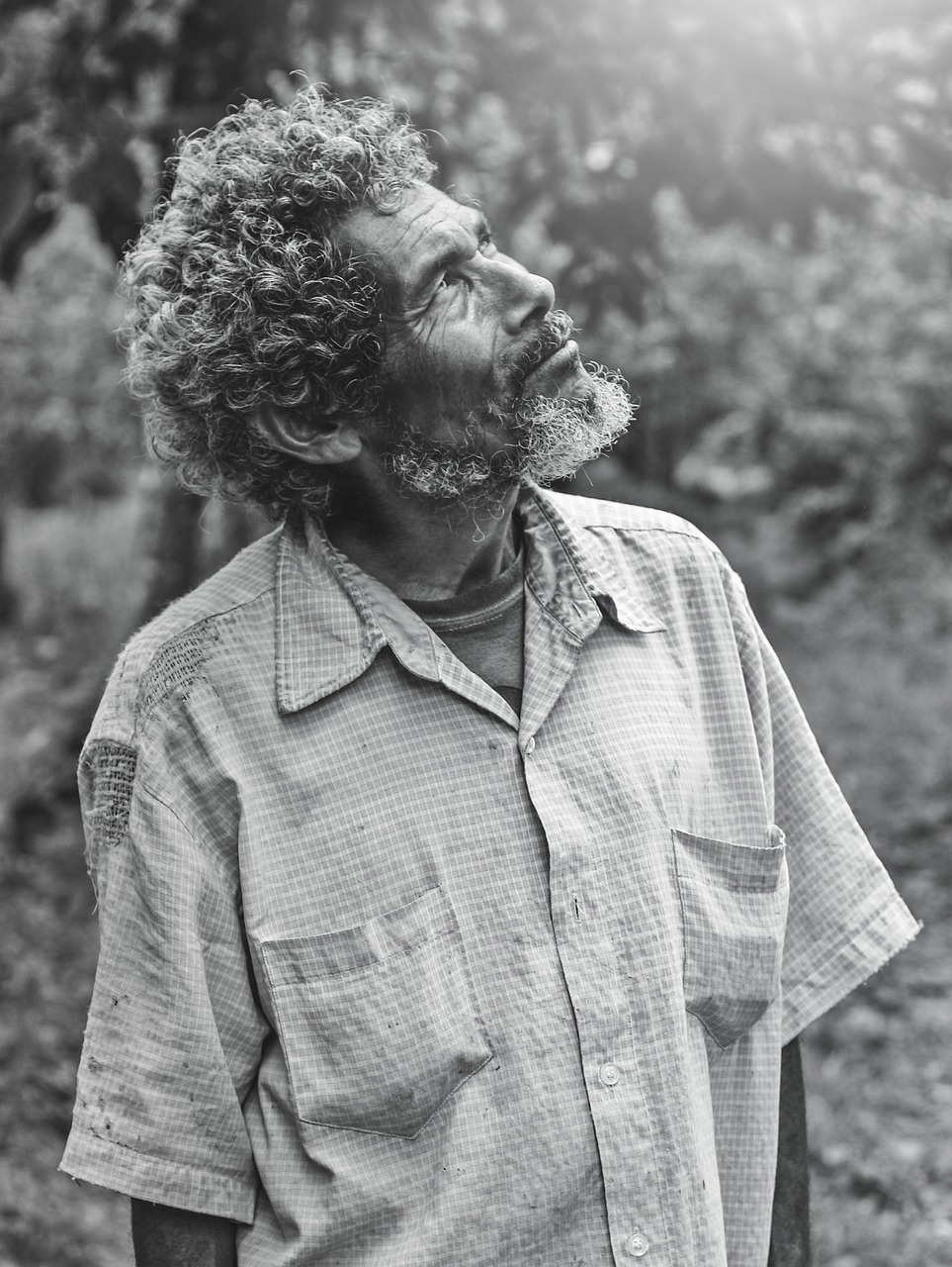 elder, age, life, portrait, elderly, person, man, emotions, elder, life, life, life, life, life, emotions, emotions